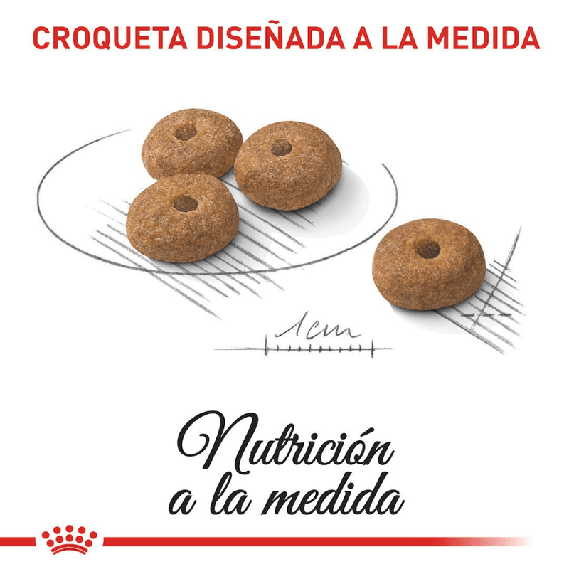 croqueta