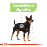 perro