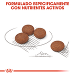 croqueta