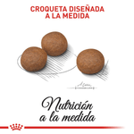 croqueta