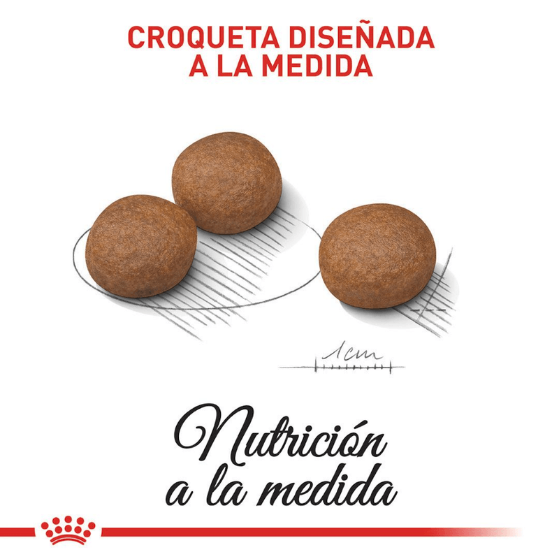 croqueta