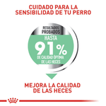 resultados