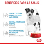 beneficios