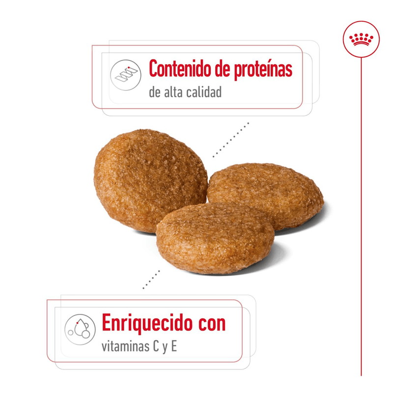Croquetas-del-alimento-Medium-Adult-para-perros-adultos-de-raza-mediana