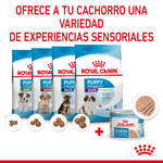 adaptado