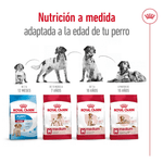Producto-adaptado-a-las-necesidades-de-perros-adultos-de-raza-mediana