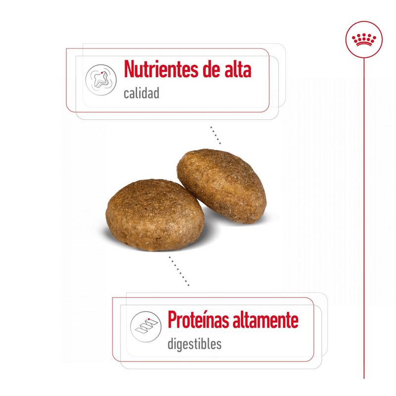 Croquetas-del-alimento-Maxi-Adult-para-perros-adultos-de-raza-grande
