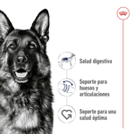 Alimento-con-nutricion-personalizada-Maxi-Adult-para-perros-adultos-de-raza-grande