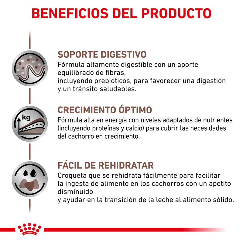 Beneficios-del-alimento-Gastrointestinal-Puppy-Dog-para-cachorros-con-problemas-digestivos