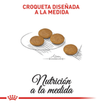 croqueta