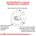 Nutricion-basada-en-la-ciencia-con-Satiety-Small-Dog-para-el-control-de-peso-en-perros-de-raza-pequena