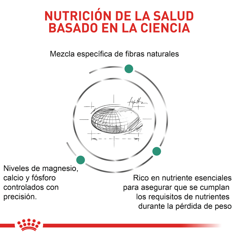 ciencia