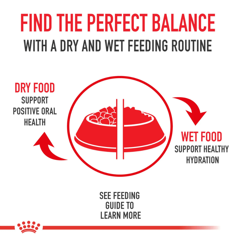 balance