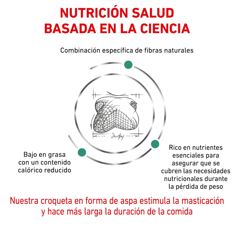 ciencia