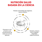 Nutricion-basada-en-la-ciencia-con-Urinary-Small-Dog-para-la-salud-urinaria-en-perros-pequenos