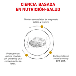 Nutricion-basada-en-la-ciencia-con-Urinary-SO-Dog-para-la-salud-urinaria-en-perros
