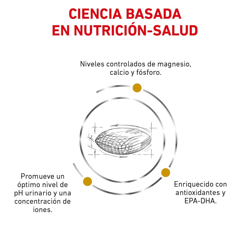 ciencia