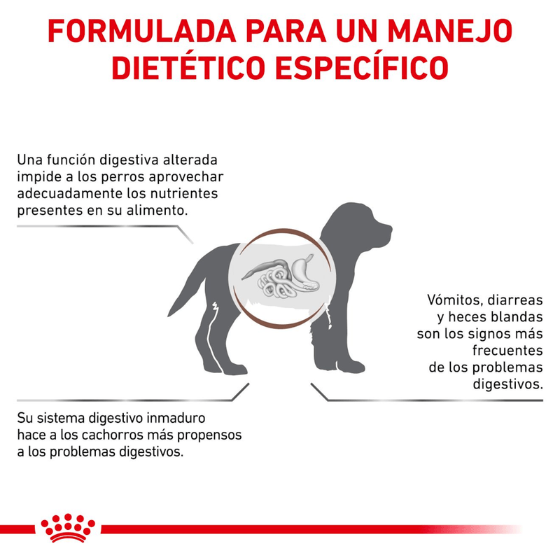 Formula-especifica-con-Gastrointestinal-Puppy-Dog-para-cachorros-con-problemas-digestivos