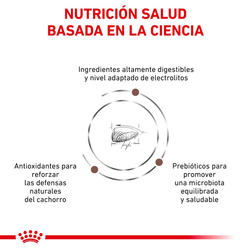 Nutricion-basada-en-la-ciencia-con-Gastrointestinal-Puppy-Dog-para-cachorros-con-problemas-digestivos