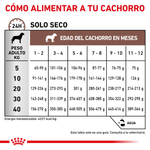 Tabla-de-racion-recomendada-del-alimento-Gastrointestinal-Puppy-Dog-para-cachorros-con-problemas-digestivos