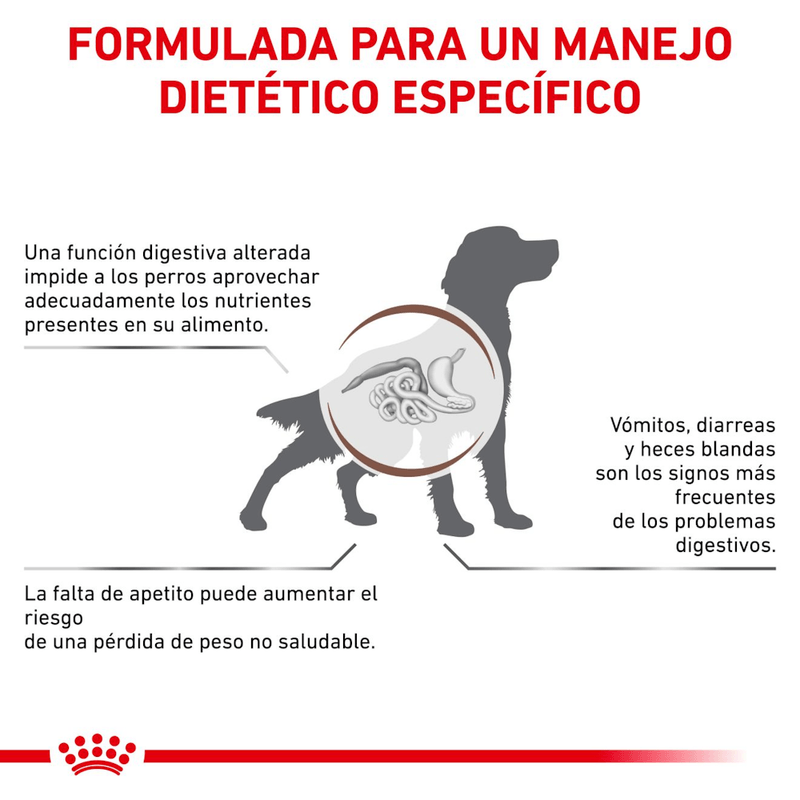 Formula-especifica-con-Gastrointestinal-Dog-para-perros-con-problemas-digestivos