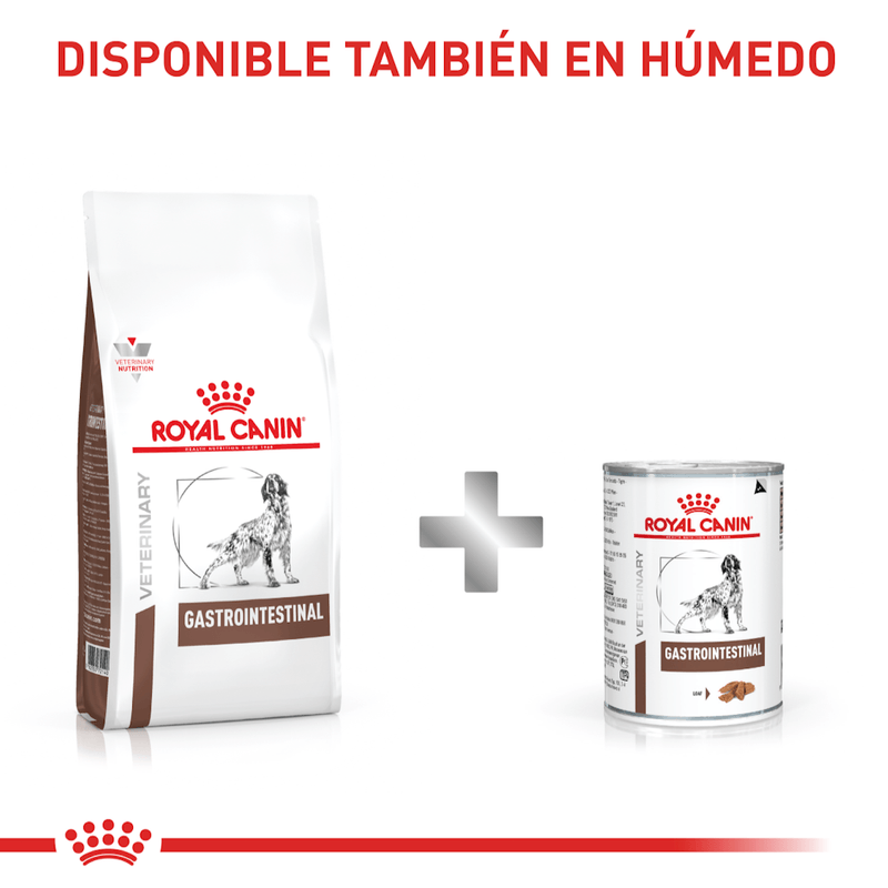 Combinacion-saludable-y-equilibrada-de-nutrientes-con-Gastrointestinal-Dog-para-perros-con-problemas-digestivos