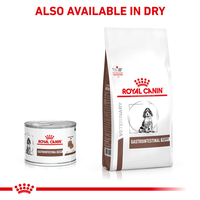 Combinacion-saludable-y-equilibrada-de-nutrientes-con-Gastrointestinal-Puppy-para-cachorros-con-problemas-digestivos