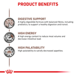 Beneficios-del-alimento-humedo-en-lata-Gastro-High-Energy-Dog-para-perros-adultos-con-problemas-digestivos
