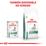 Combinacion-saludable-y-equilibrada-de-nutrientes-con-Satiety-Dog-para-perros-con-control-de-peso