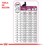 Tabla-de-racion-recomendada-del-alimento-humedo-en-lata-Renal-Support-E-Dog-para-perros-con-insuficiencia-renal-cronica