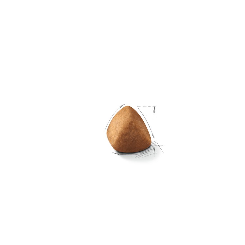 croqueta