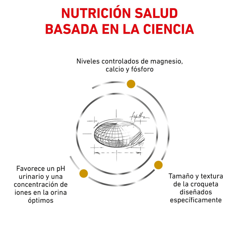 Nutricion-basada-en-la-ciencia-con-Urinary-Small-Dog-para-la-salud-urinaria-en-perros-pequenos