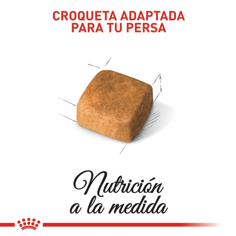 Croquetas-del-alimento-para-gatitos-Persian-Kitten