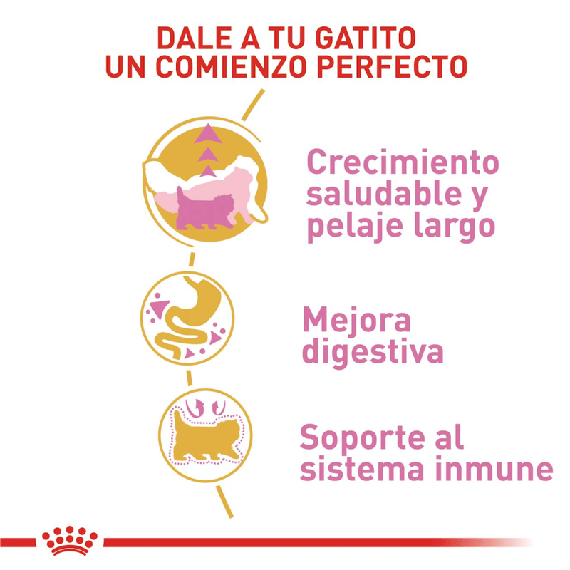 comienzo