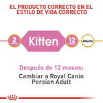 Producto-adaptado-a-las-necesidades-de-gatitos-Persian-Kitten