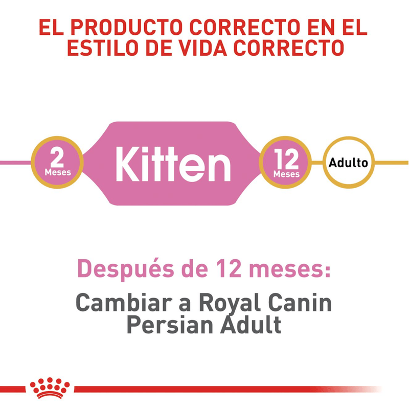 Producto-adaptado-a-las-necesidades-de-gatitos-Persian-Kitten