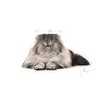 Alimento-Persian-Adult-para-gatos-adultos