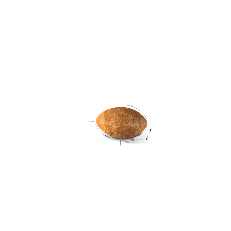 croqueta