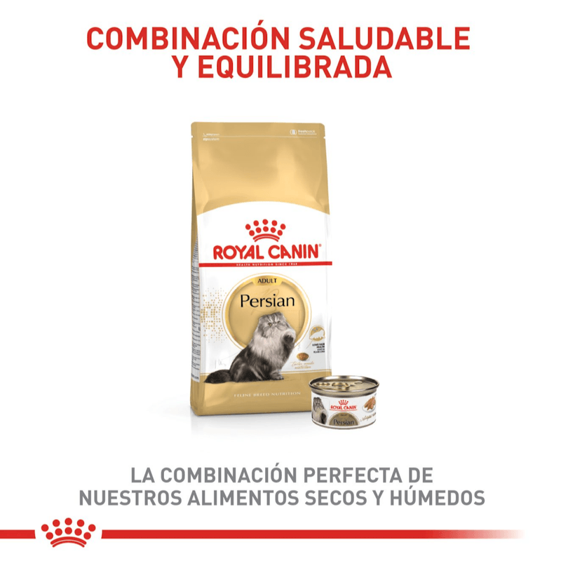 Combinacion-saludable-y-equilibrada-de-nutrientes-para-el-gato-Persian-Adulto