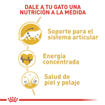 nutricion