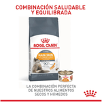 Combinacion-saludable-y-equilibrada-de-nutrientes-con-Hair-and-Skin-Care-para-gato