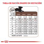 Tabla-de-racion-recomendada-para-madres-gestantes-o-lactantes-del-alimento-humedo-en-lata-Gastrointestinal-Puppy