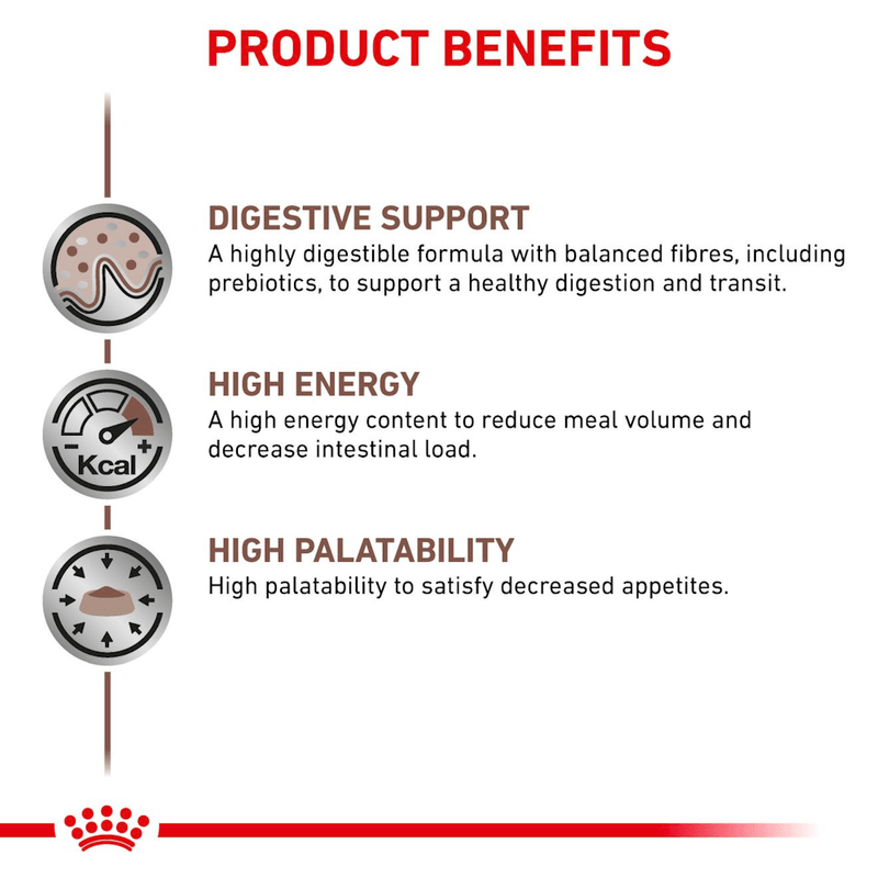 Beneficios-del-alimento-humedo-en-lata-Gastro-High-Energy-Dog-para-perros-adultos-con-problemas-digestivos