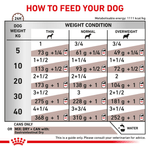 Tabla-de-racion-recomendada-del-alimento-humedo-en-lata-Gastrointestinal-High-Energy-Dog-para-perros-adultos-con-problemas-digestivos