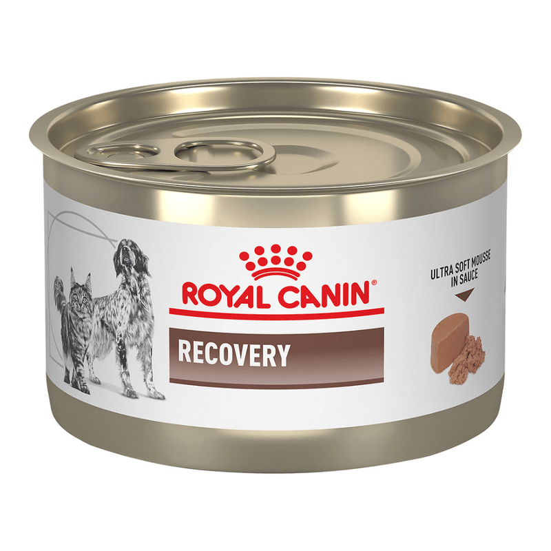 Packshot-del-alimento-humedo-en-lata-Recovery-para-perros-en-proceso-de-recuperacion
