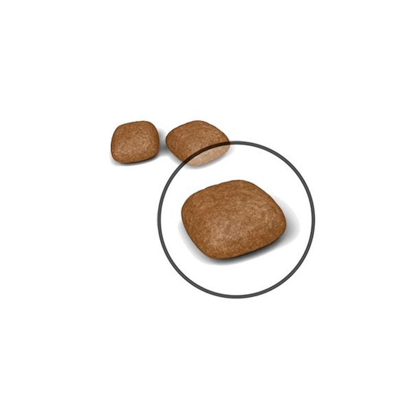 croqueta