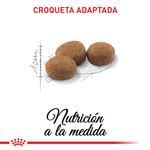Croquetas-del-alimento-Regular-Sterilised-para-gatos-adultos-esterilizados