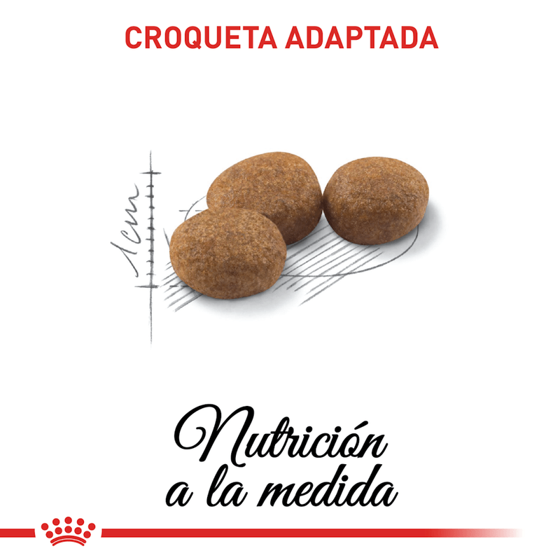 croqueta