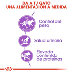 Alimentacion-con-nutricion-a-la-medida-con-Regular-Sterilised-para-gatos-adultos-esterilizados