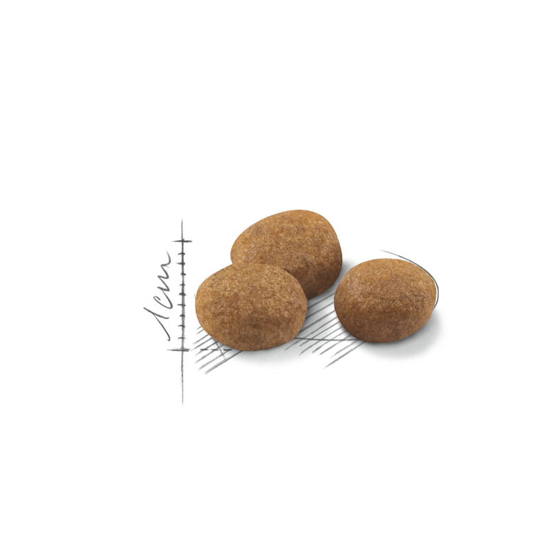 croqueta